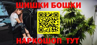 стаф Ставрополь
