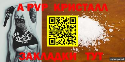 стаф Ставрополь