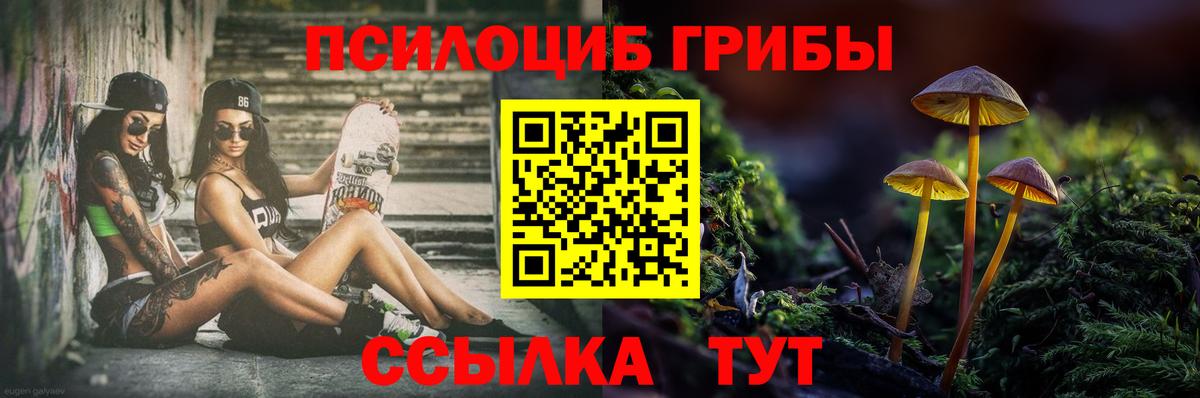 Галлюциногенные грибы Magic Shrooms Новозыбков