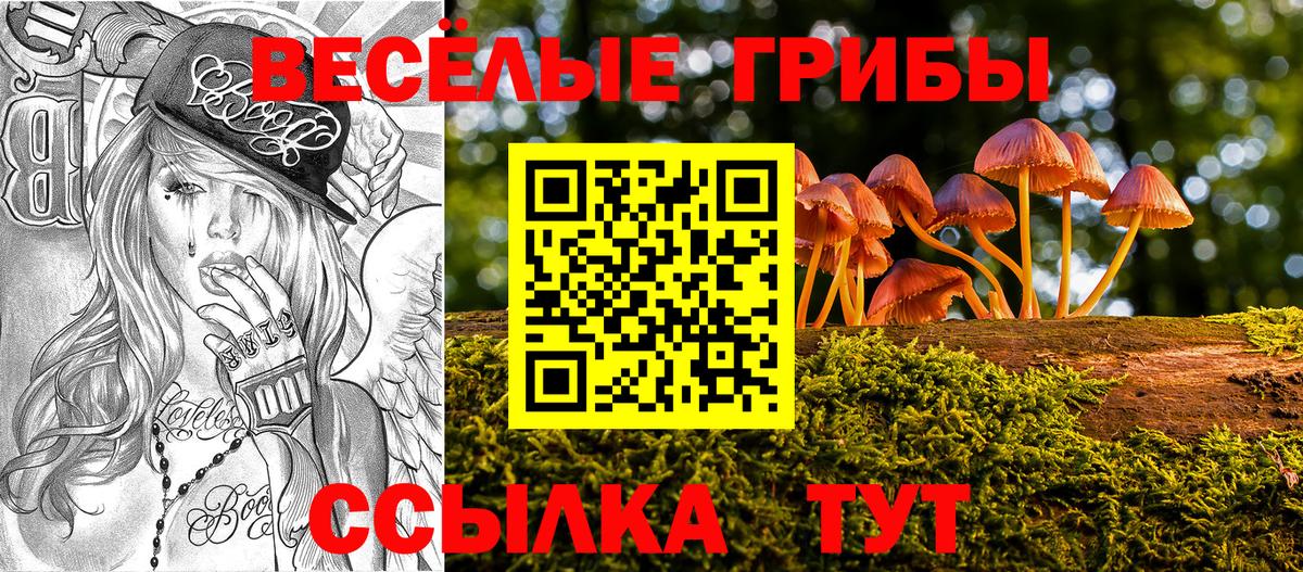 Новозыбков  Галлюциногенные грибы ЛСД  Вход с VPN 