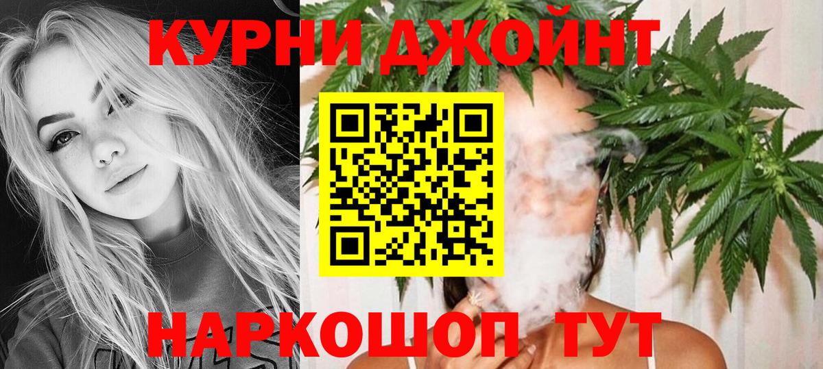 Шишки марихуана план Новозыбков